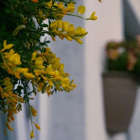 Vesuvio Capodichino Blu * Neapel