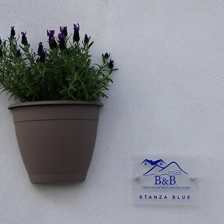 公寓 Vesuvio Capodichino Blu *