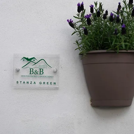 Vesuvio Capodichino Blu 公寓