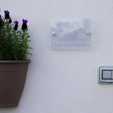 Vesuvio Capodichino Blu 公寓 *