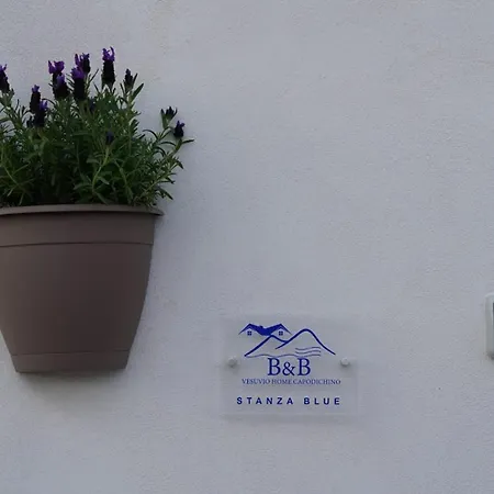 Vesuvio Capodichino Blu 公寓